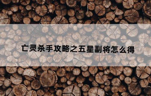 亡灵杀手攻略之五星副将怎么得