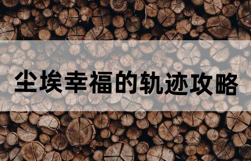 尘埃：幸福的轨迹攻略