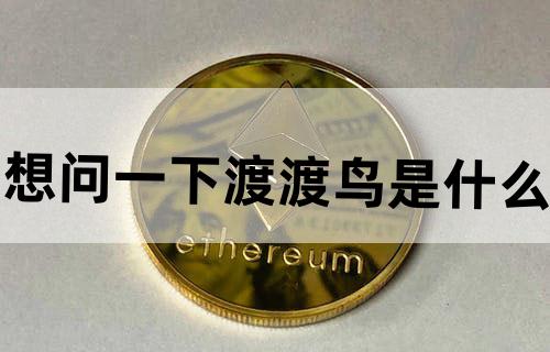 想问一下渡渡鸟是什么?