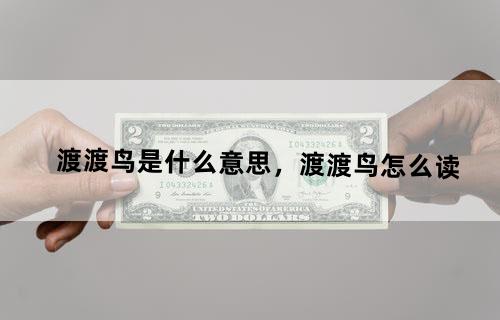 渡渡鸟是什么意思，渡渡鸟怎么读