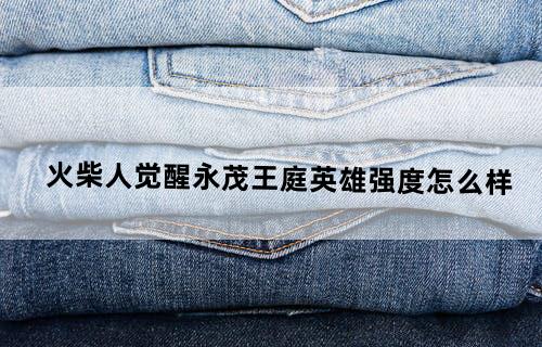 火柴人觉醒永茂王庭英雄强度怎么样