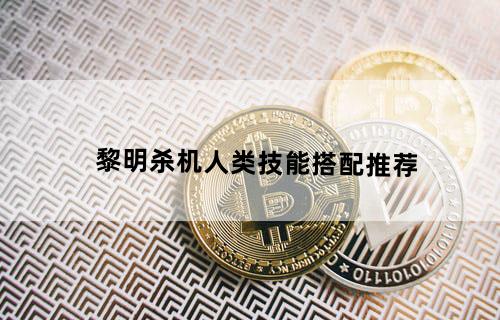 黎明杀机人类技能搭配推荐