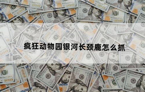 疯狂动物园银河长颈鹿怎么抓