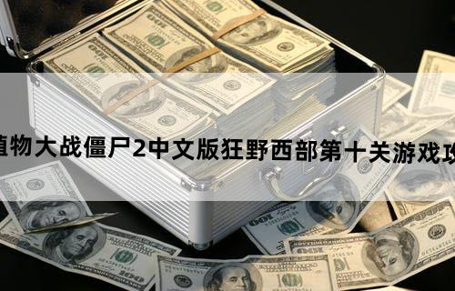 《植物大战僵尸2》中文版狂野西部第十关游戏攻略