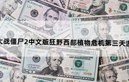 《植物大战僵尸2》中文版狂野西部植物危机第三天游戏攻略