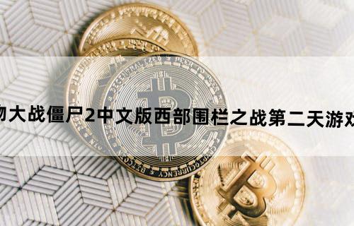 《植物大战僵尸2》中文版西部围栏之战第二天游戏攻略