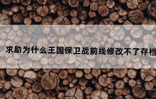 求助.为什么王国保卫战前线修改不了存档