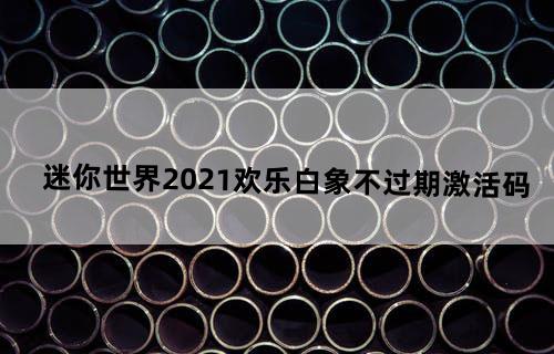 迷你世界2021欢乐白象不过期激活码