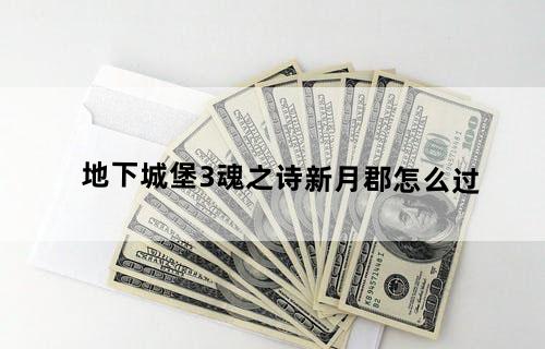 地下城堡3魂之诗新月郡怎么过