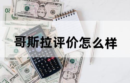 《哥斯拉》评价怎么样？