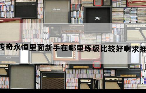 传奇永恒里面新手在哪里练级比较好啊？求推荐