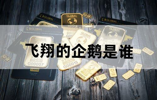 飞翔的企鹅是谁