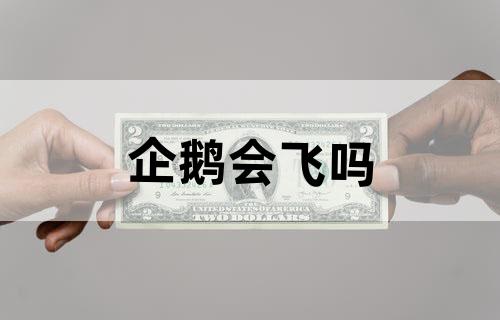 企鹅会飞吗