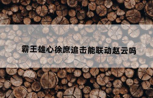 霸王雄心徐庶追击能联动赵云吗