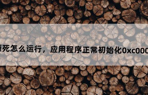 僵尸必须死怎么运行，应用程序正常初始化（0xc0000125）失败