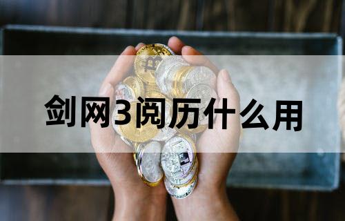 剑网3阅历什么用