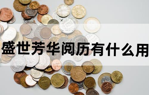 盛世芳华阅历有什么用