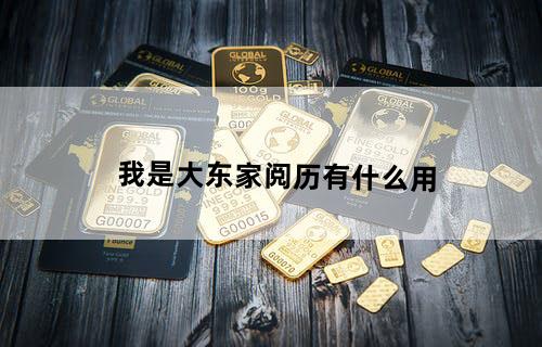 我是大东家阅历有什么用