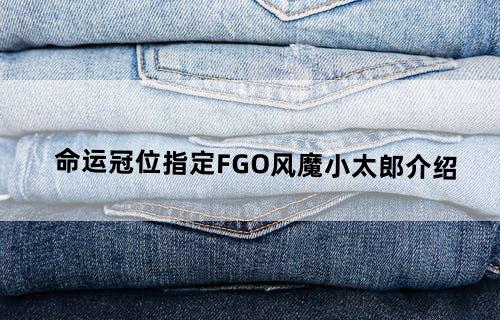 命运冠位指定FGO风魔小太郎介绍