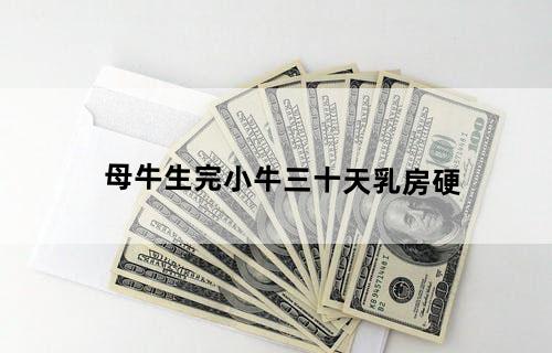 母牛生完小牛三十天乳房硬？