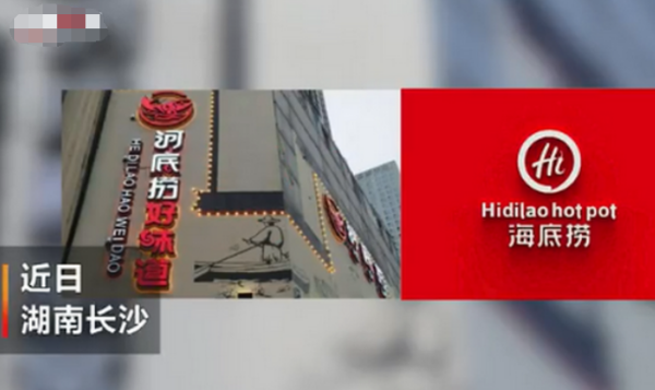 河底捞赢了却改名字了，改成什么了？