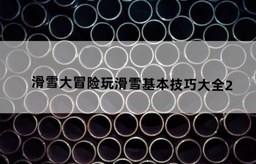 滑雪大冒险玩滑雪基本技巧大全(2)