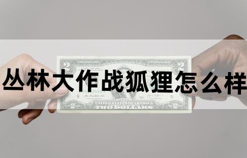 丛林大作战狐狸怎么样