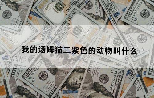 我的汤姆猫二紫色的动物叫什么