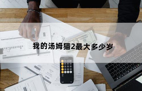 我的汤姆猫2最大多少岁