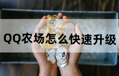 QQ农场怎么快速升级
