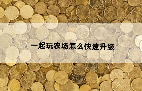 一起玩农场怎么快速升级