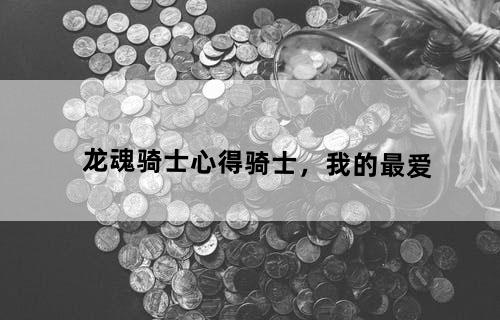 龙魂--骑士心得--骑士，我的最爱