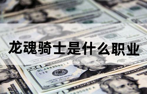 龙魂骑士是什么职业