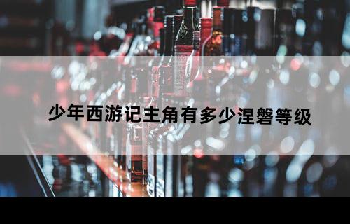 少年西游记主角有多少涅磐等级？