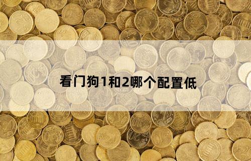 看门狗1和2哪个配置低