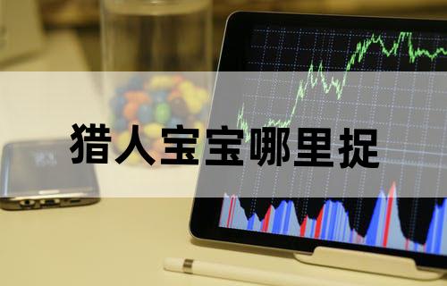 猎人宝宝哪里捉