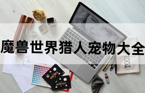魔兽世界猎人宠物大全