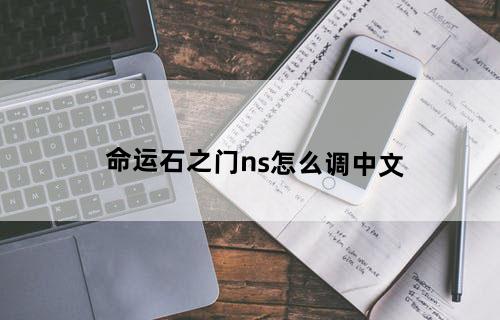 命运石之门ns怎么调中文