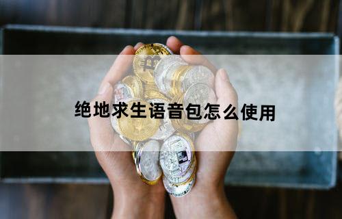 绝地求生语音包怎么使用