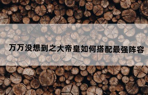 万万没想到之大帝皇如何搭配最强阵容