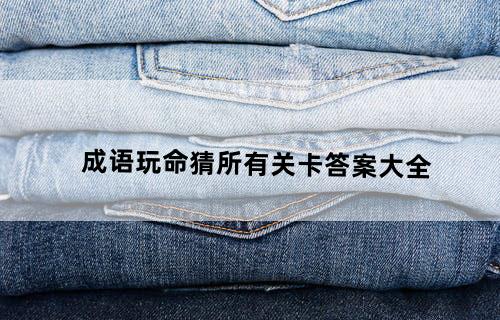 《成语玩命猜》所有关卡答案大全