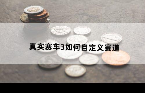真实赛车3如何自定义赛道