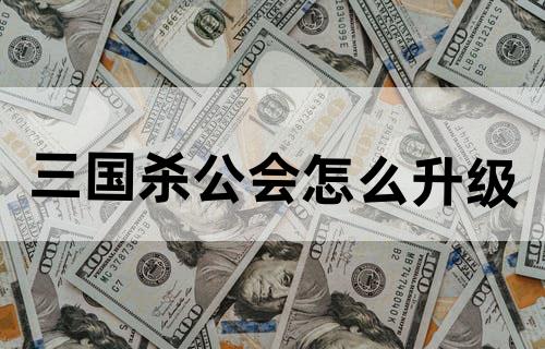 三国杀公会怎么升级