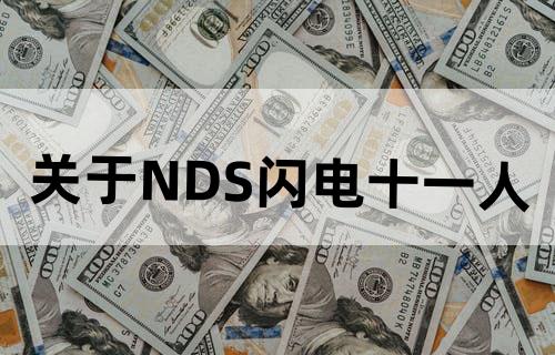 关于NDS闪电十一人