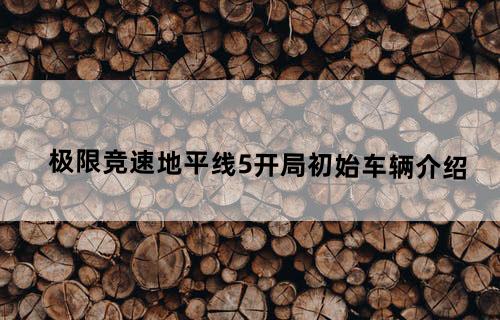 极限竞速地平线5开局初始车辆介绍