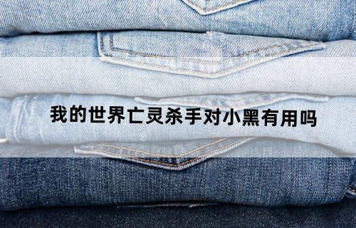 我的世界亡灵杀手对小黑有用吗