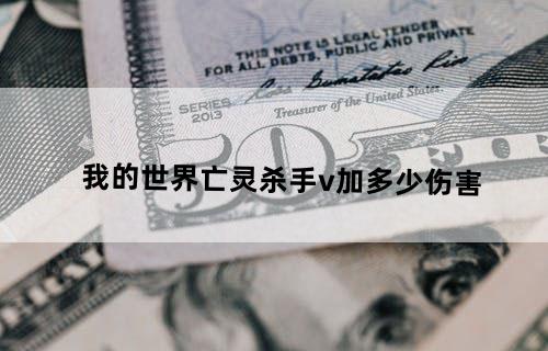 我的世界亡灵杀手v加多少伤害