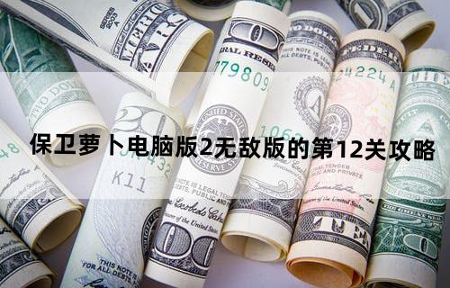 保卫萝卜电脑版2无敌版的第12关攻略