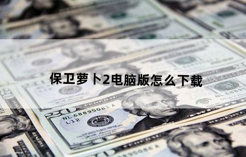保卫萝卜2电脑版怎么下载