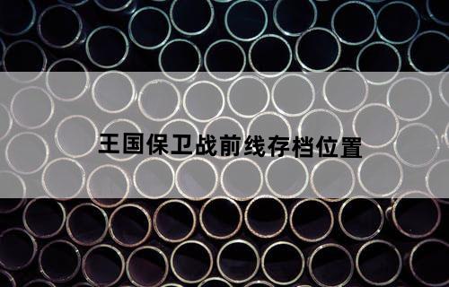 王国保卫战前线存档位置